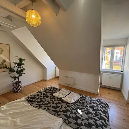 Kattesundet Location In Apartamento Copenhague