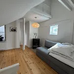 Apartament Kattesundet Location In Kopenhaga